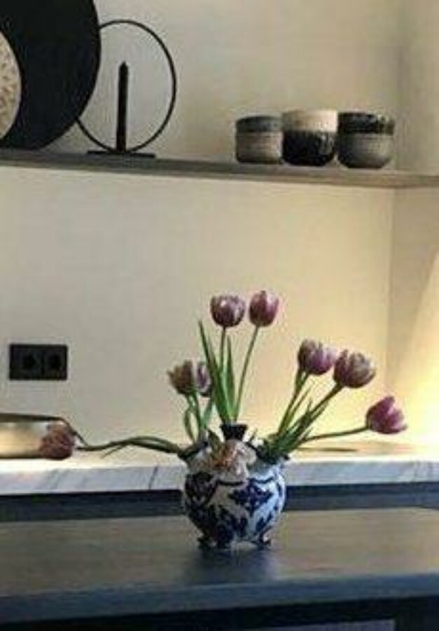 D5a6f9db 4861 425a a77d 38fe7d7320d7 2