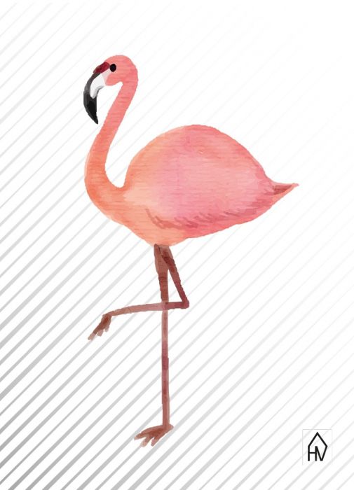 Kaarten Flamingo (Set van 5) - HouseVitamin
